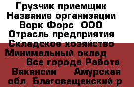 Грузчик-приемщик › Название организации ­ Ворк Форс, ООО › Отрасль предприятия ­ Складское хозяйство › Минимальный оклад ­ 30 000 - Все города Работа » Вакансии   . Амурская обл.,Благовещенский р-н